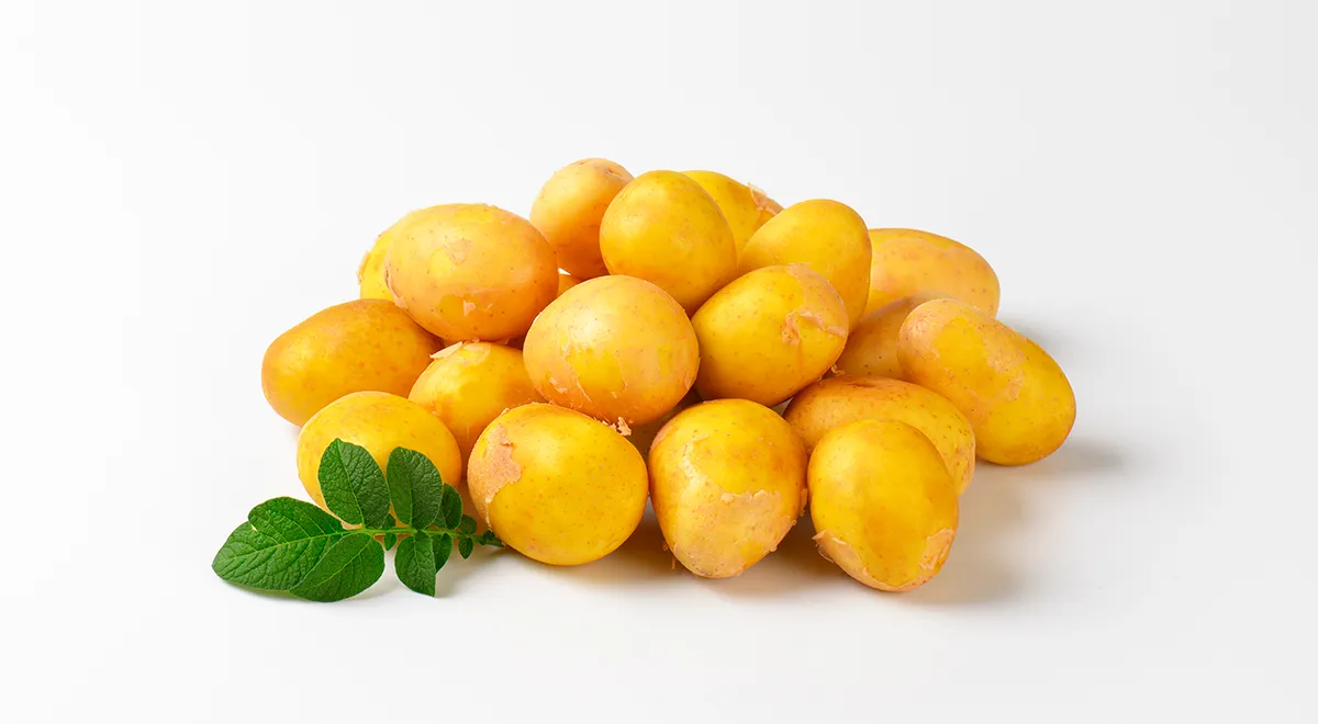 Беби-картофель