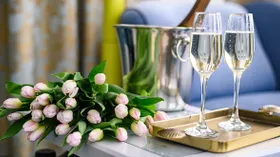 Чем отличается брют от сухого шампанского и других игристых вин