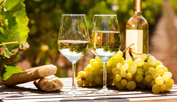 Что такое органическое вино: мода, маркетинг или возвращение к истокам