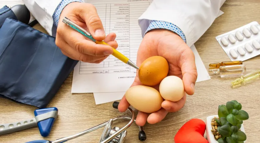 С точки зрения диетологии яйца являются источником полноценного белка, содержат практически весь спектр ценных аминокислот