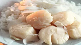 Простые рецепты с молочной продукцией и морским гребешком