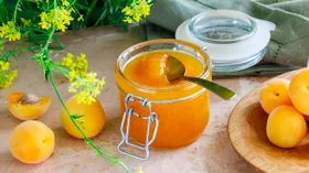 Рецепты с абрикосом и желатином