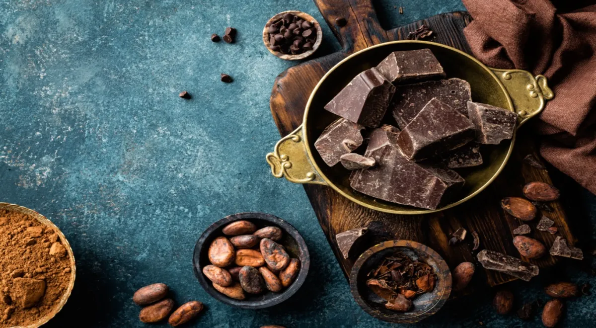 Так ли полезен темный шоколад, как мы привыкли считать, — мнение эксперта
