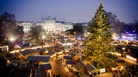 Путешествие в Вену: выставка Брейгеля, рождественский базар, венский бал и  штрудель