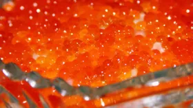 Простые рецепты с сёмгой и икрой