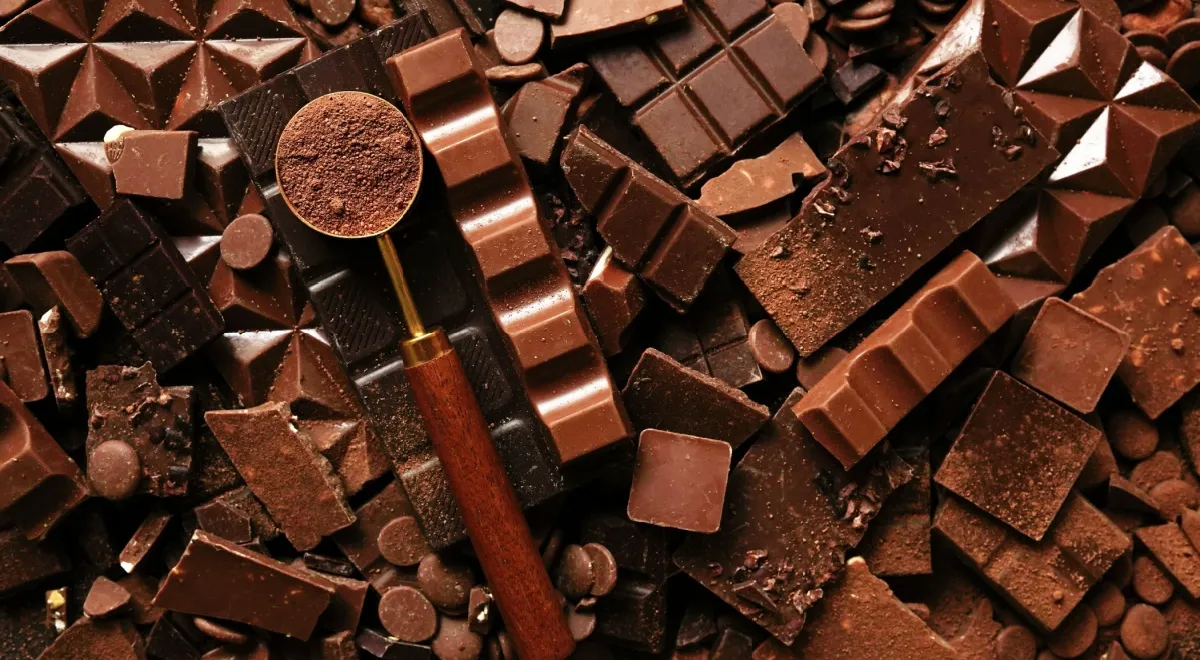 Как выбрать качественный темный шоколад — подсказки экспертов