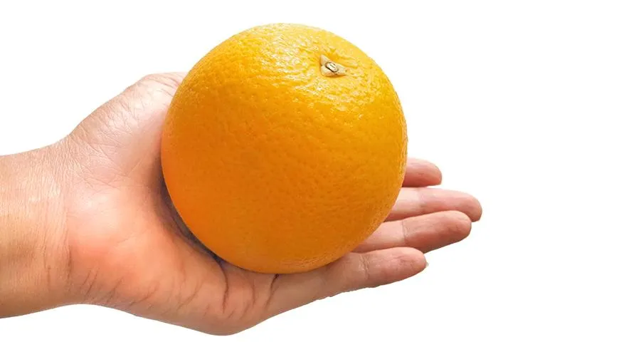 Хороший свежий апельсин должен быть тяжелым по весу и плотным на ощупь
