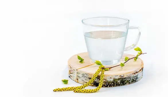 Березовый сок