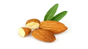 Сладкий миндаль: описание продукта, как выбирать, что приготовить