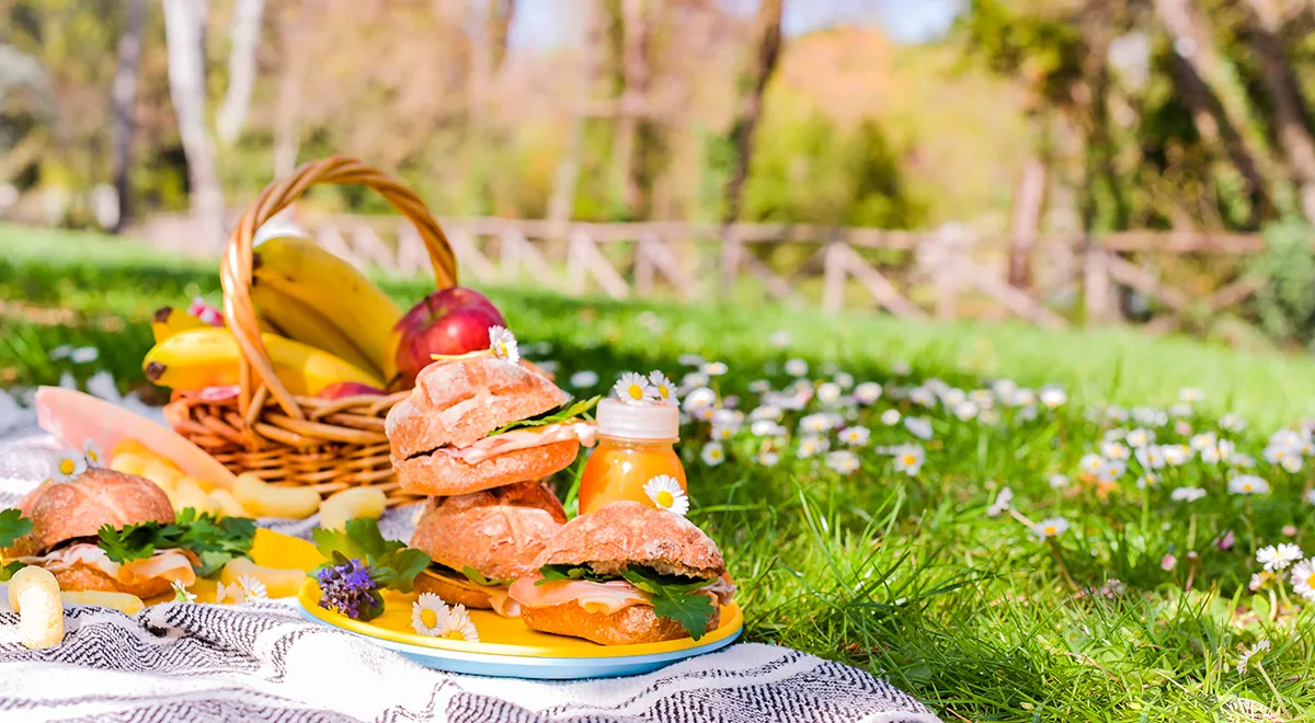 Как и где устроить пикник, если у вас нет своей дачи