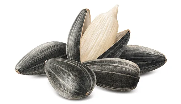 Семечки подсолнечника