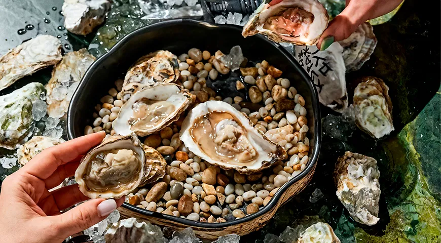 OY! Bar & Oysters