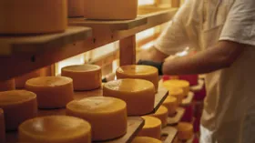 В России разработают ГОСТ на популярные виды сыра