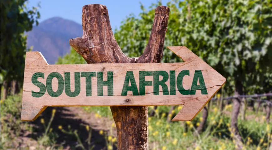 Виноградник в Южной Африке