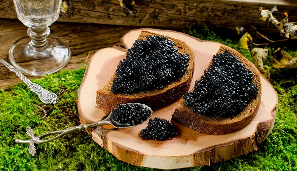 Черная икра: сколько она стоила 400 лет назад и почему ее ели ложками — историк русской кухни Ольга Сюткина