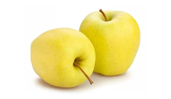Яблоко Голден