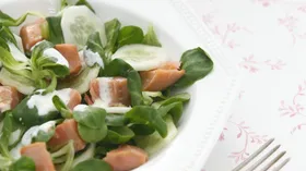 Рецепты с овощами, кисломолочными продуктами и форелью