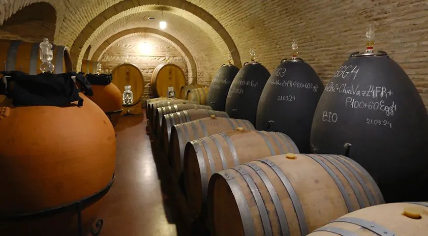 Дубовые бочки, бетонные и стальные резервуары для выдержки вина