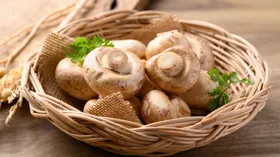 Гриб с помойки? Стало известно, кому нельзя есть шампиньоны