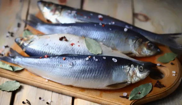 Диетолог заявил, что перед покупкой сельдь нужно потрогать: только так ее качество и оценивается