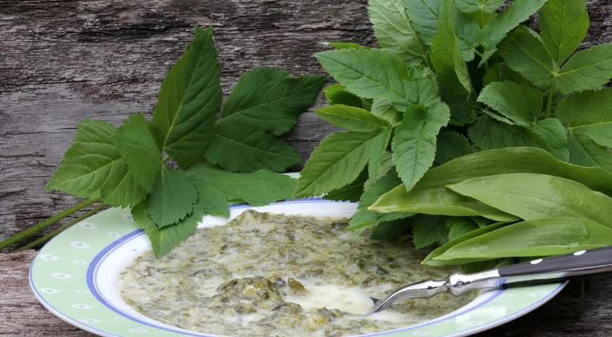 Сныть - описание продукта, как выбирать, как готовить, читайте на ...
