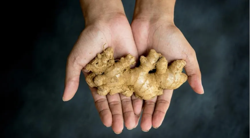 Как продлить жизнь запасам имбиря. Джем, цукаты и другие интересные идеи