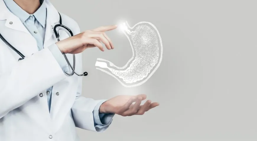 Еда как лекарство: зарубежные вузы вводят кулинарные курсы для будущих медиков