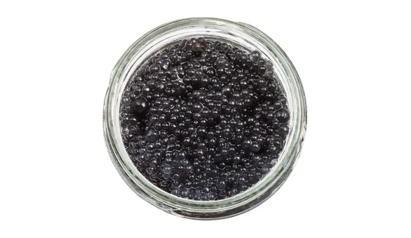 Икра палтуса