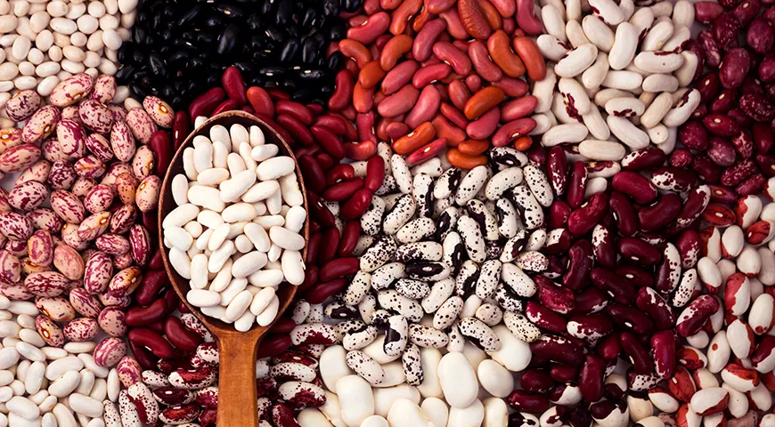 Разные виды фасоли