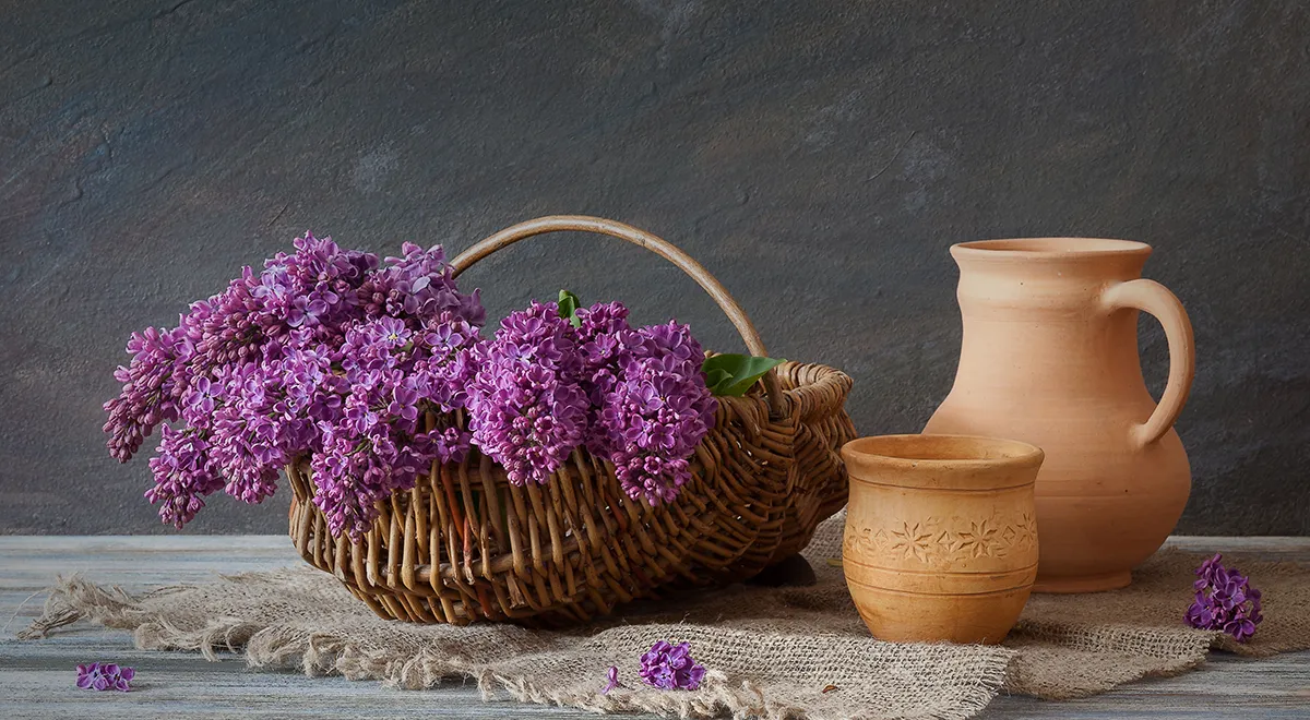 3 целебных вкусных блюда из молодой сирени, хвои и крапивы