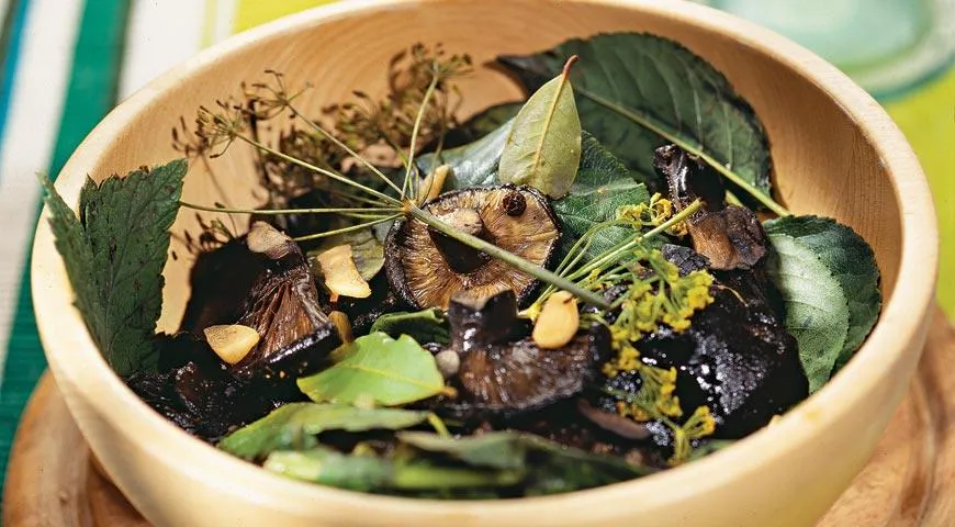 Засолка грибов. Холодный метод