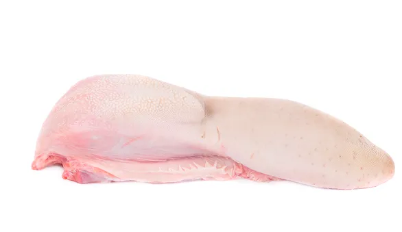 Язык говяжий