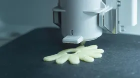Что мы будем есть в ближайшем будущем. Студентка из России напечатала на 3D-принтере батончики из червей