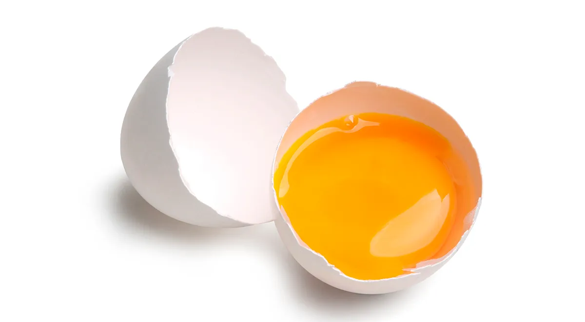 Желток куриного яйца