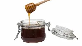 Падевый мед