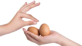 Как правильно обращаться с яйцами