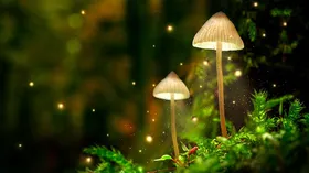 Диета Судного дня. Что люди будут есть, если наступит ядерная зима