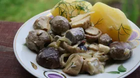 Рецепты с овощами, белыми грибами и кисломолочными продуктами