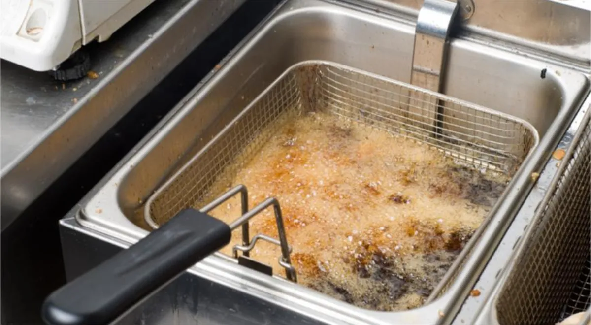 Россия испытала авиационное топливо из фритюрного масла