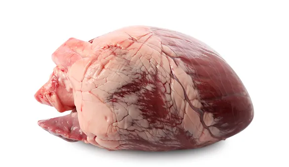 Свиное сердце