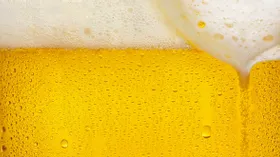 Пиво живое и мёртвое против пивного суррогата