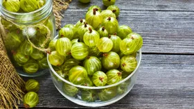 Можно ли замораживать крыжовник? Эксперты подсказали, как не помять ягоды и сохранить пользу