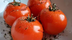 Простые рецепты прованской кухни с томатами