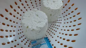 Сыр "Кроттэн" (Crottin de Chavignol)