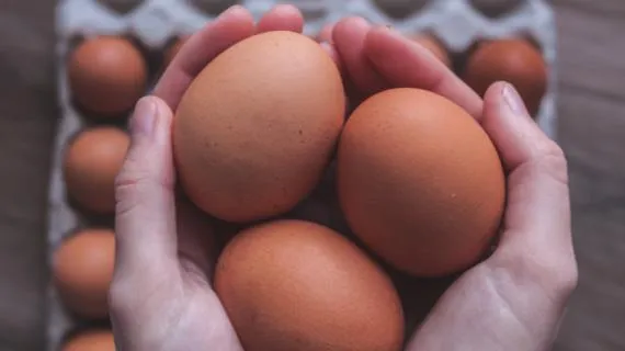 Сколько белка в курином яйце?