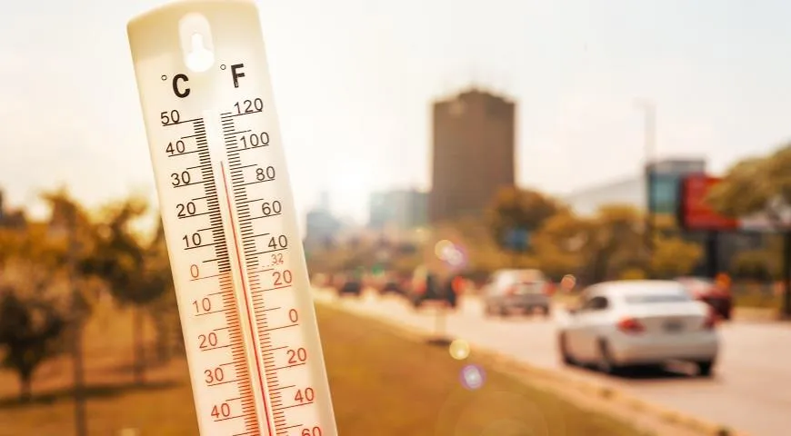 10 простых вещей, которые помогут пережить жару