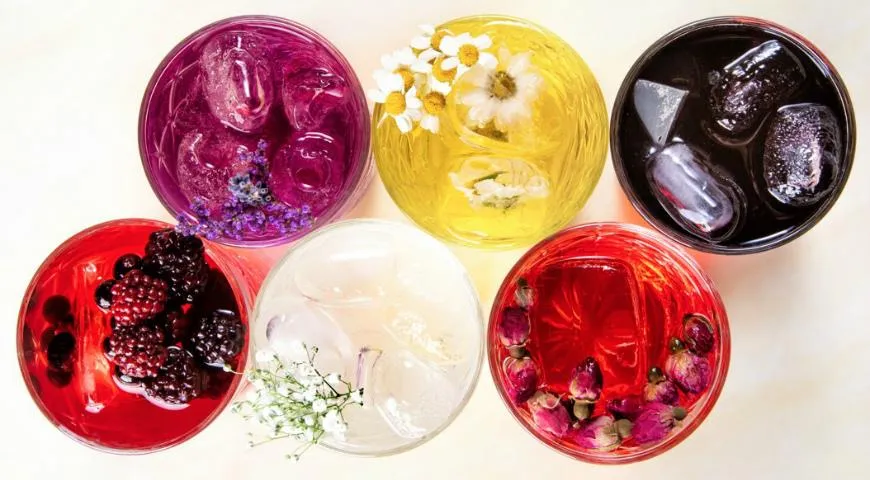 Бар Ботанист