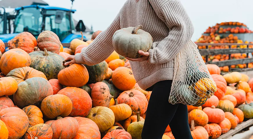 Сорт тыквы выбирайте в зависимости от блюда: сладкие мускатные — для десертов, а более плотные — для супов и гарниров
