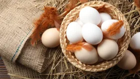 Россиян предупредили о рисках покупки яиц к Пасхе на стихийных рынках