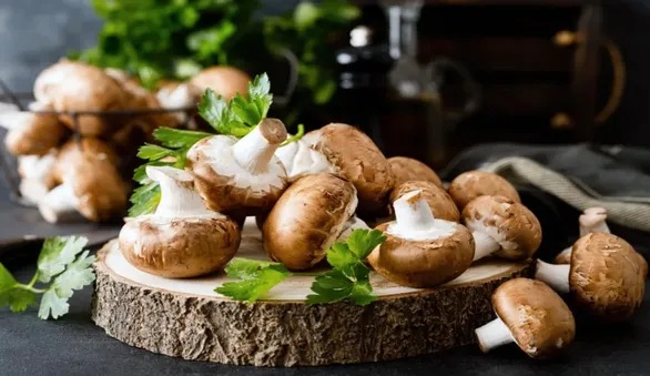 День грибов: почему грибы считают полезными и как их правильно выбрать